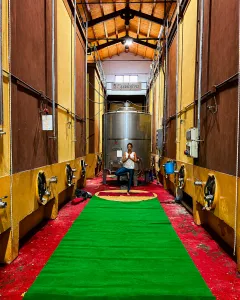 Yoga at a Wine Cellar at Dei Principi di Spadafora - Breathe. Sip. Repeat - Gallery