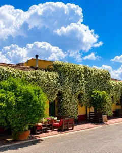 Yoga at a Wine Cellar at Dei Principi di Spadafora - Breathe. Sip. Repeat - Gallery