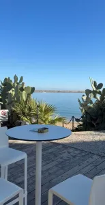 Beet Brunch and DJ Set by the Sea - Gallery