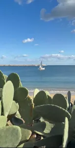 Beet Brunch and DJ Set by the Sea - Gallery