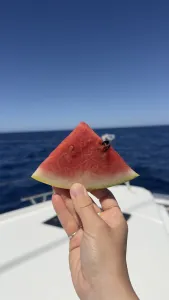 Full-Day Boat Excursion - A Day on the Sicilian Sea - Gallery