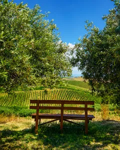 Yoga at a Wine Cellar at Dei Principi di Spadafora - Breathe. Sip. Repeat - Gallery